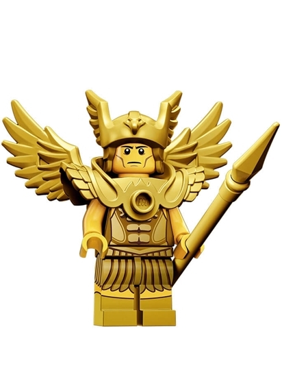 Flying warrior