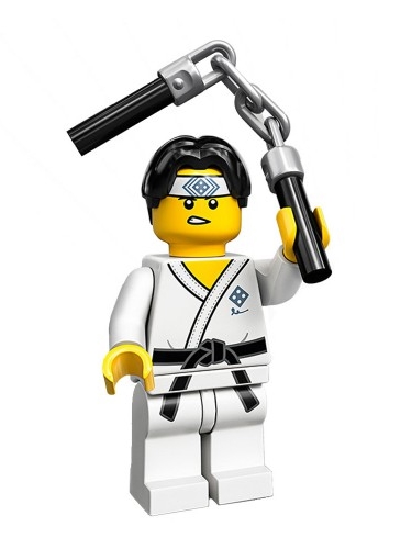 Martial arts boy
